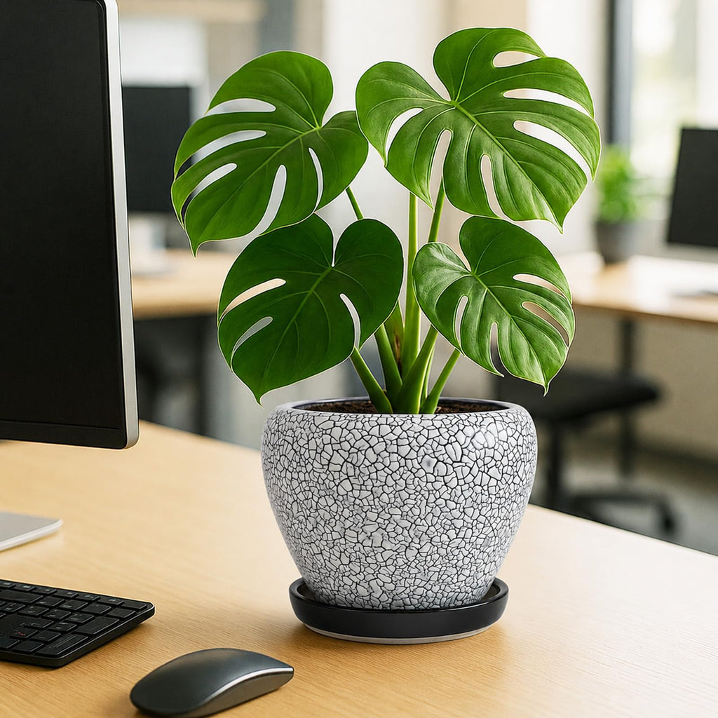 8 Inch Plant Pots- Ceramic Pots for Plants with Drainage Hole and Saucer, Large Planter Pot for Indoor Plants Outdoor
