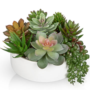 Artificial Succulent Plants in Pot 5.5 Inch Fake Succulents Arrangement