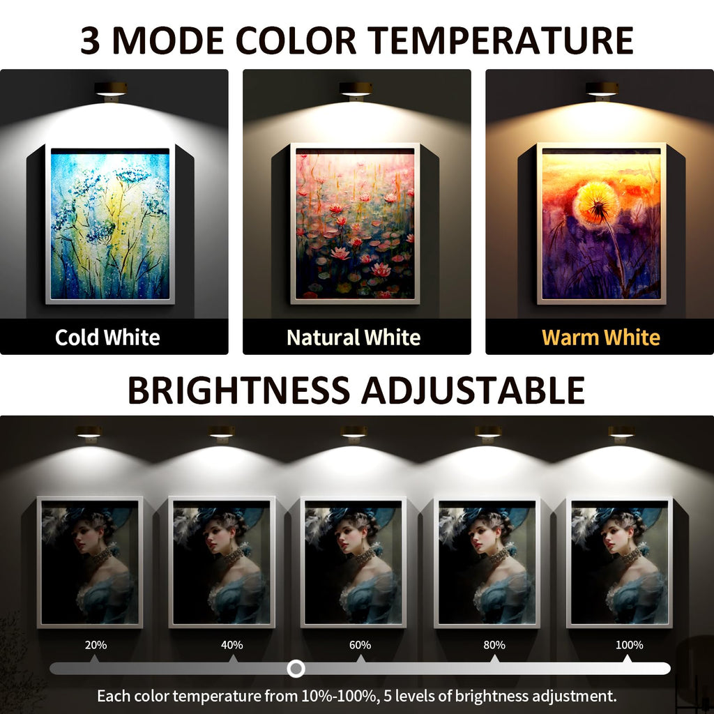 Picture Lights for Wall, Rechargeable Battery Operated Wireless Magnetic Painting Lights with Remote Dimmable