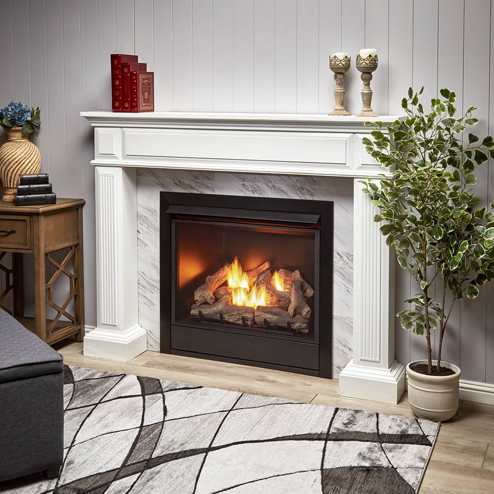Dual Fuel Ventless Gas Fireplace Insert - 32, 000 BTU, Remote Control - Model# FDI32R
