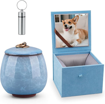 Mini Pet Urn, Small Pet Memorial Urn Handmade Ceramic Pet Urn Suitable Urn with Delicate Box - Blue (Blue)