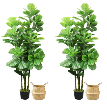 2pcs Artificial Fiddle Leaf Fig Tree, 6 FT Tall Artificial Tree with Woven Seagrass Plant Basket Fake Floor Plant in
