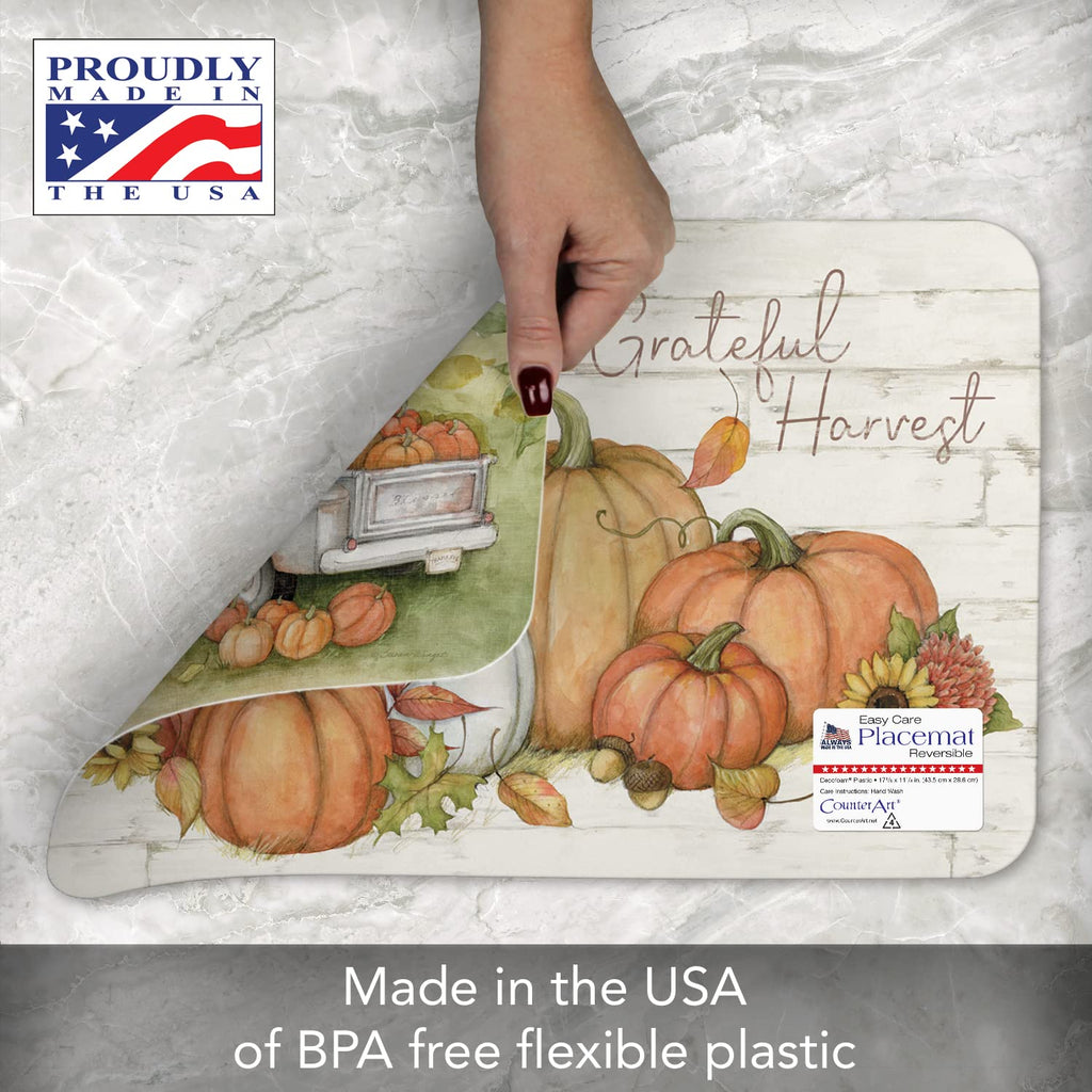 Pumpkin Farm Reversible Easy Care Placemat 4 Pack