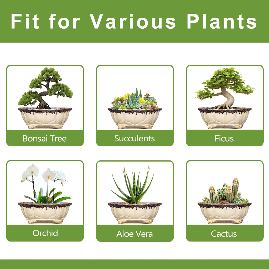Ceramic Bonsai Tree Pots - 11 Inch Succulent Pots with Drainage Hole, Decorative Bonsai Pot for Indoor Outdoor