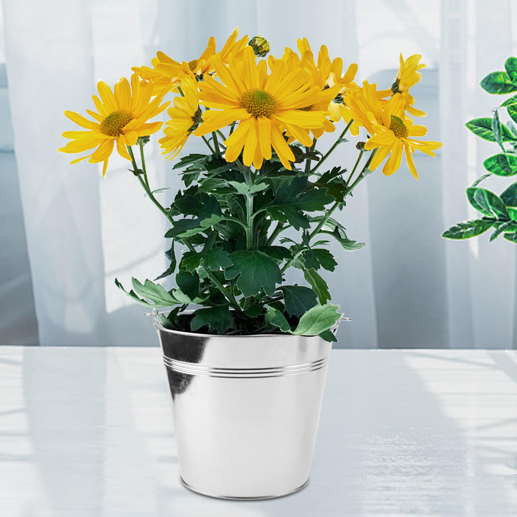 8 Packs 7 Inch Galvanized Metal Bucket with Handle, Round Flower Pot Plant Rustic Basket, Galvanized Planter Pail for