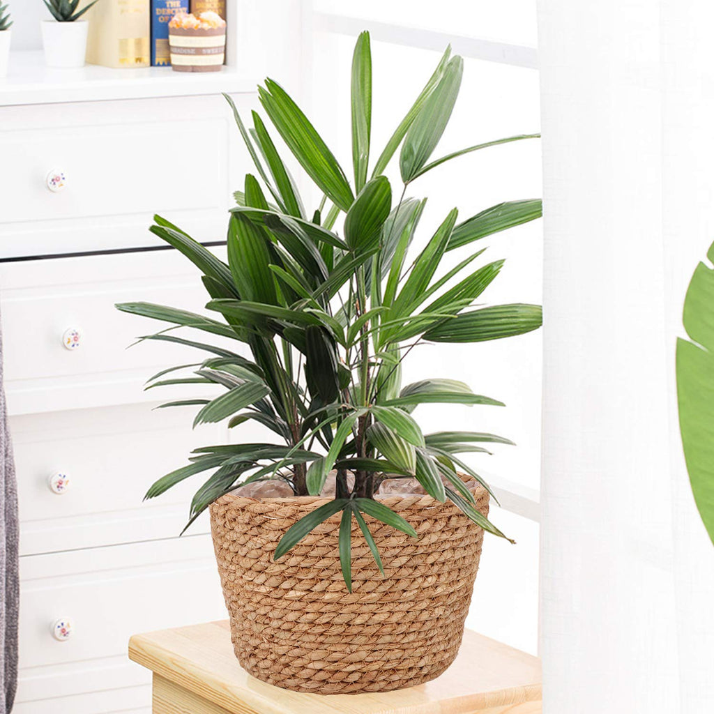 Seagrass Planter Basket Stylish Planter Baskets, Set of 4