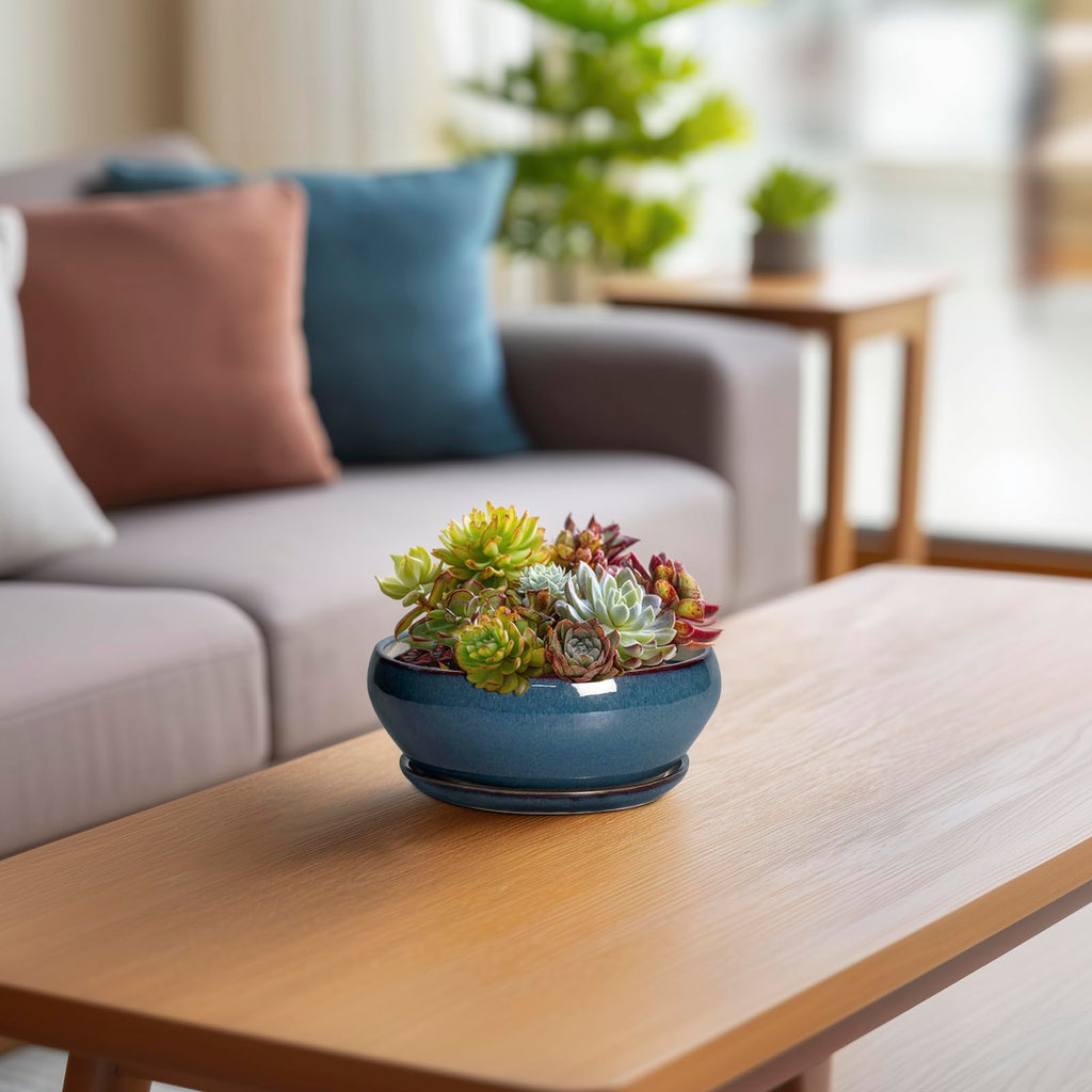Succulent Pots - 6 Inch Ceramic Bonsai Pots, Shallow Planter with Drainage Hole and Saucer, Modern Round Planter for