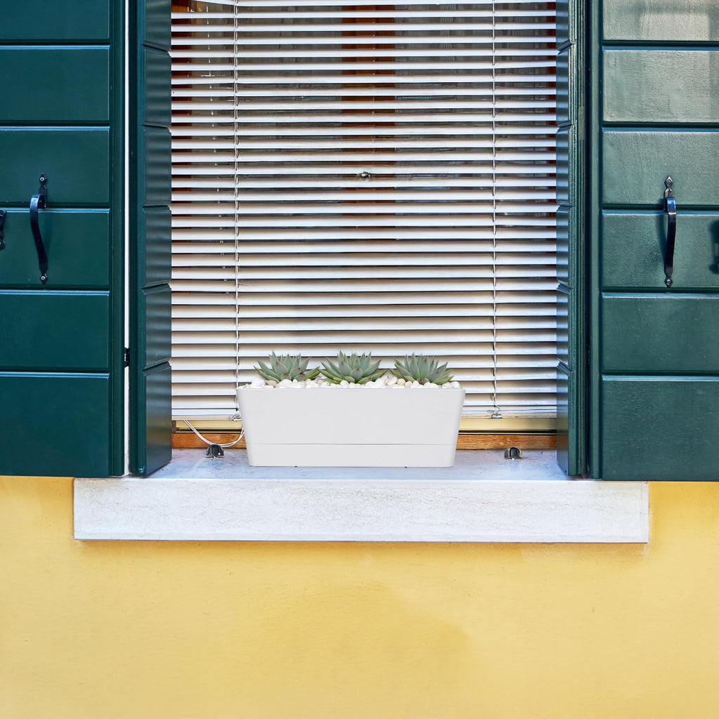 Long Window Boxes Planters, 6 Pack 16x3.8 Inch Vegetable Box Pot with Tray, Indoor Succulent Cactus Flowers Plastic