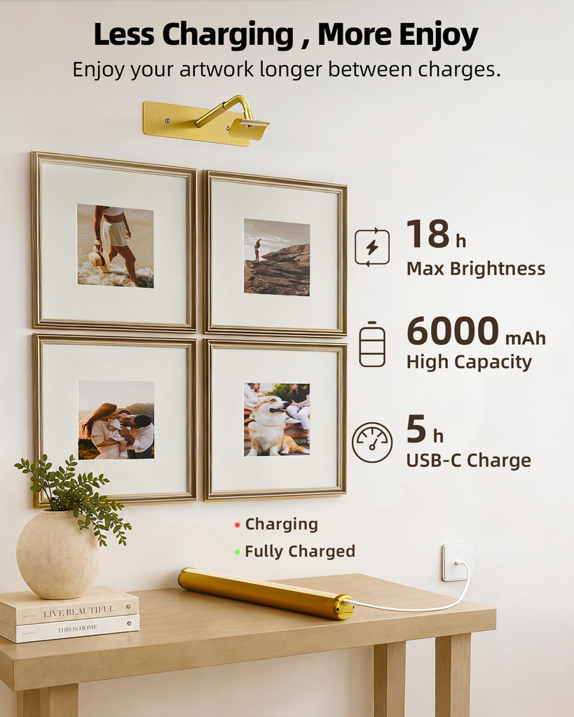 16'' Picture Light for Wall, 6000mAh Rechargeable Battery Art Light