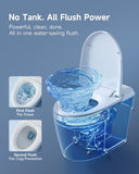 HR-T30 Non-Electric Bidet Toilet, Tankless Toilet with ADA Chair Height, 1.0GPF and Powerful Flush