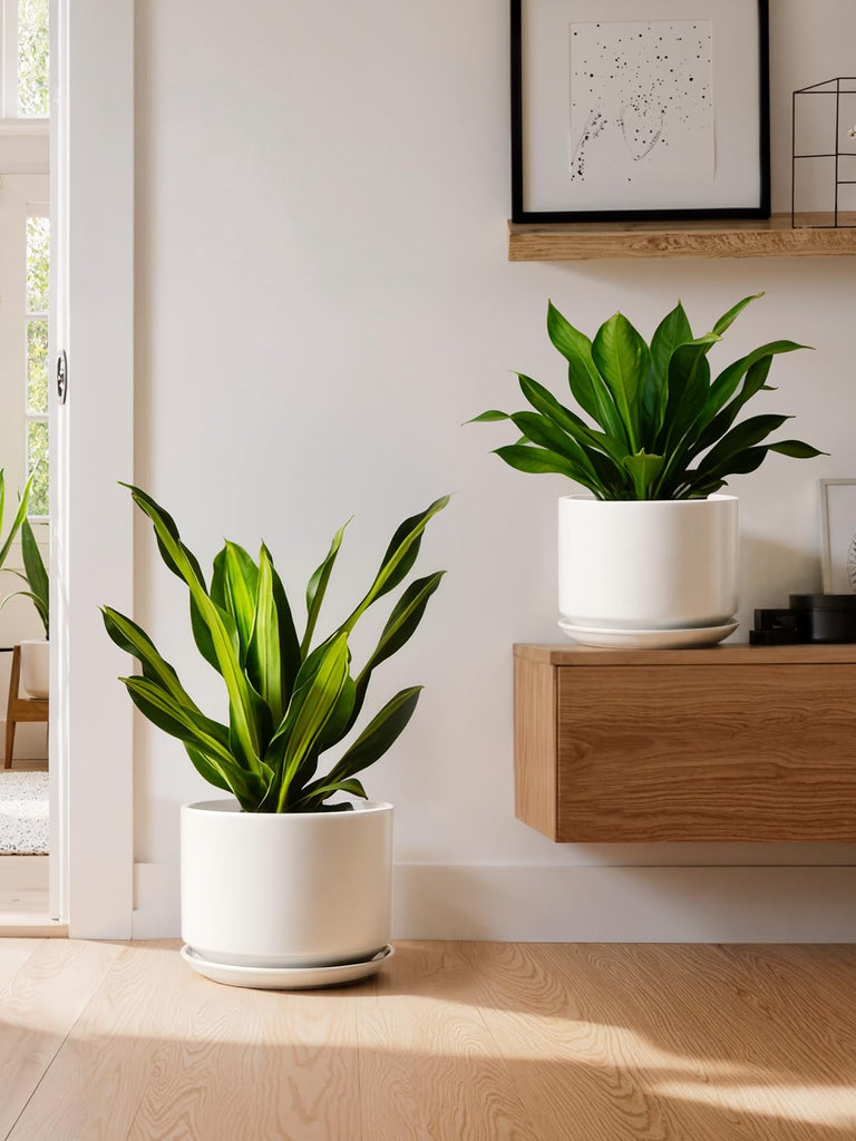 10 + 12 Inch Ceramic Plant Pots, Set of 2, White