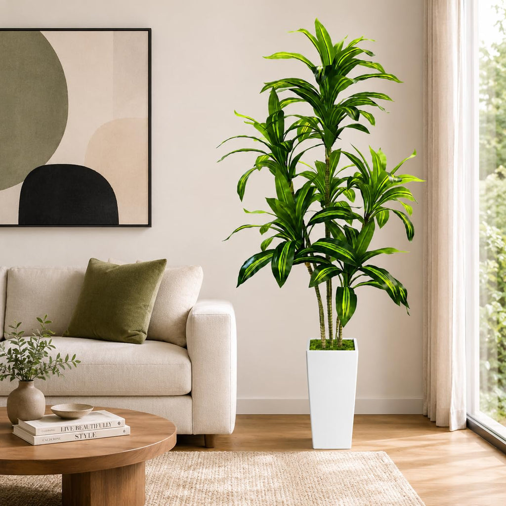 Dracaena Tree with White Tall Planter, 6FT