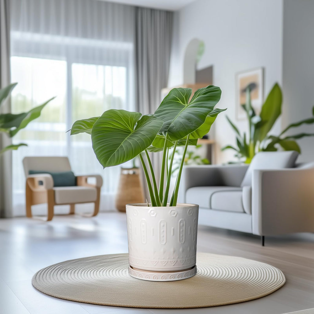 Ceramic Pots for Plants 12 Inch - Large Ceramic Planters for Indoor Plants Outdoor Modern Flower Pot with Drainage