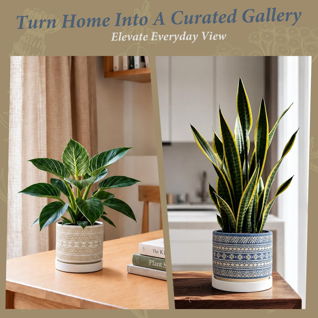 Small Ceramic Pots for Plant Boho Decorative Indoor Planter 5" 6"