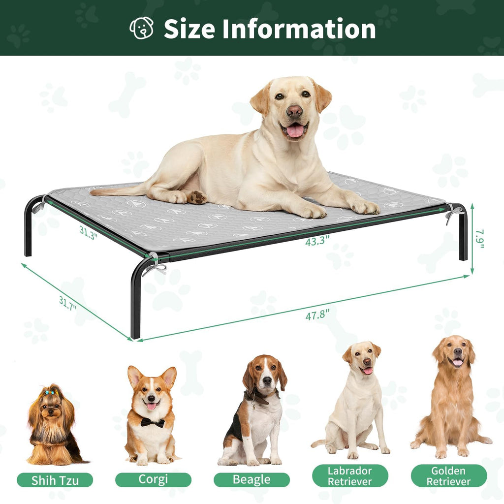 Elevated Dog Bed with Washable Pad for Large Dogs, Gray