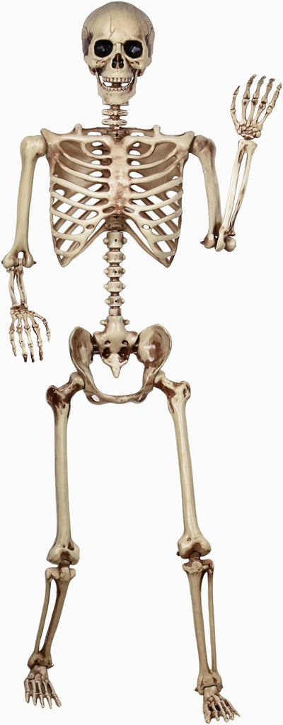 5.4ft Life Size Skeleton,Poseable Halloween Giant Skeletons Decorations Outdoor,Full Body Human Bones with Movable