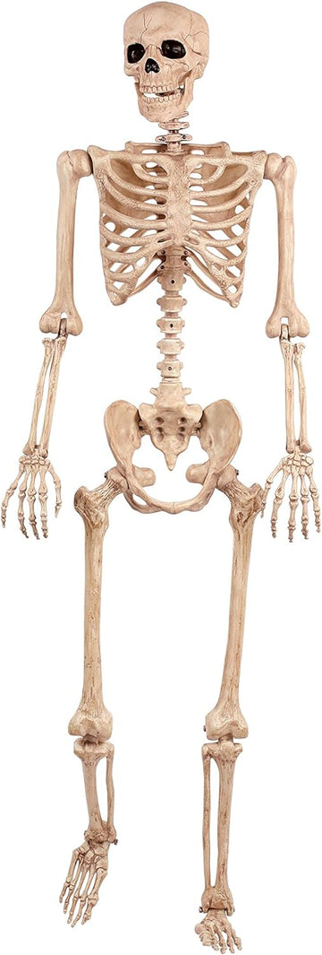 Original Pose-N-Stay Halloween Skeleton, 5 FT - Life-Size