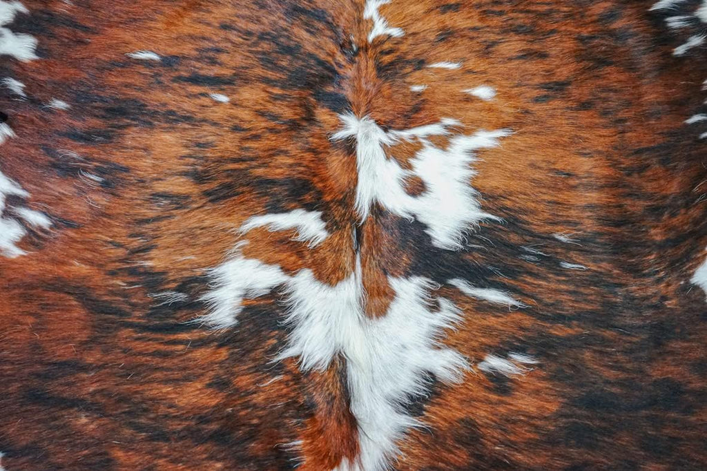 Genuine Cowhide Rug Classic Tricolor Size S/L/XL 5X6/6X7/7X8 FT (XL)