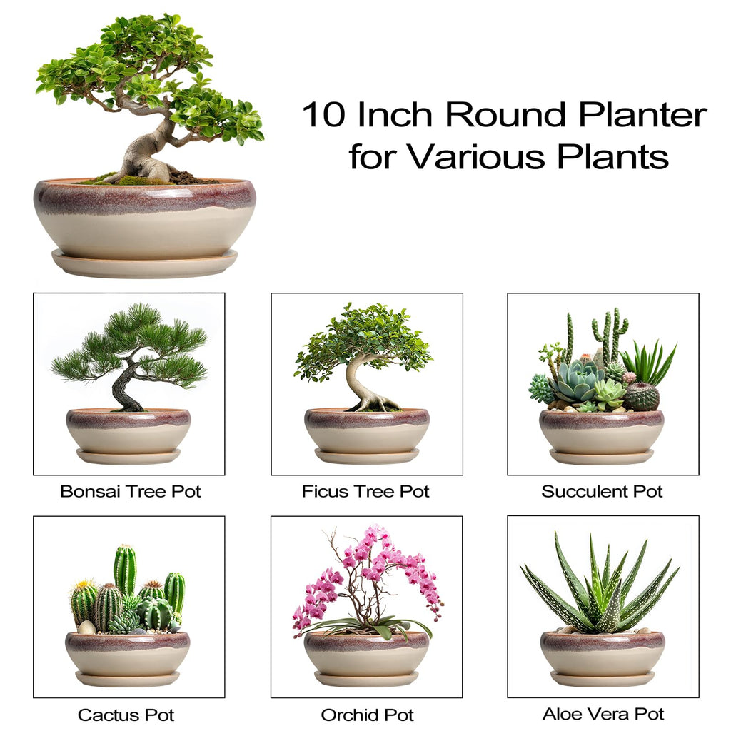 Bonsai Tree Pots - 10 Inch Ceramic Succulent Pots, Round Shallow Planter with Drainage Hole and Tray, Bowl Planter