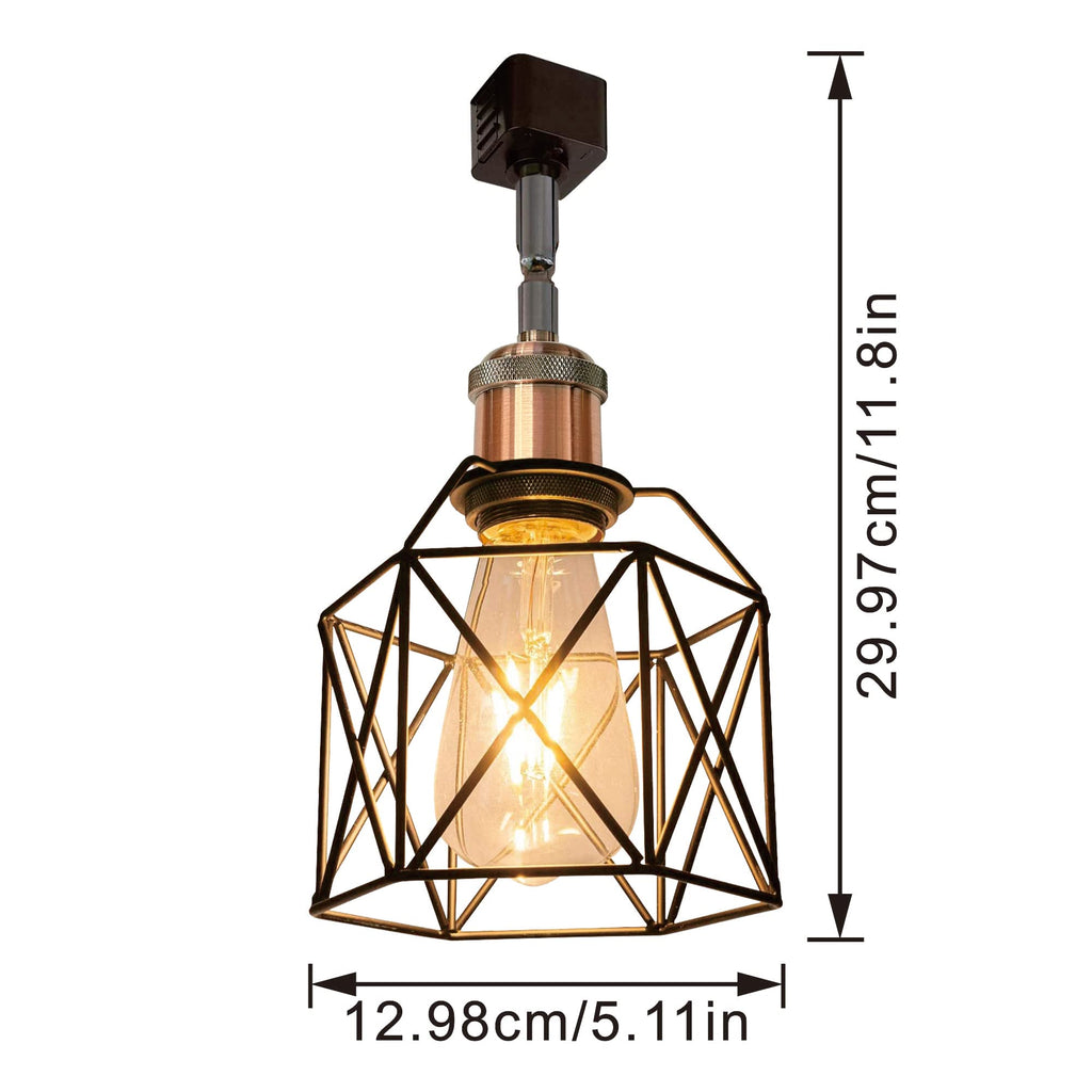 H System Track Lighting Heads, Vintage Loft Design Track Lighting Heads with Flexible Light Arm, Black Basket Cage