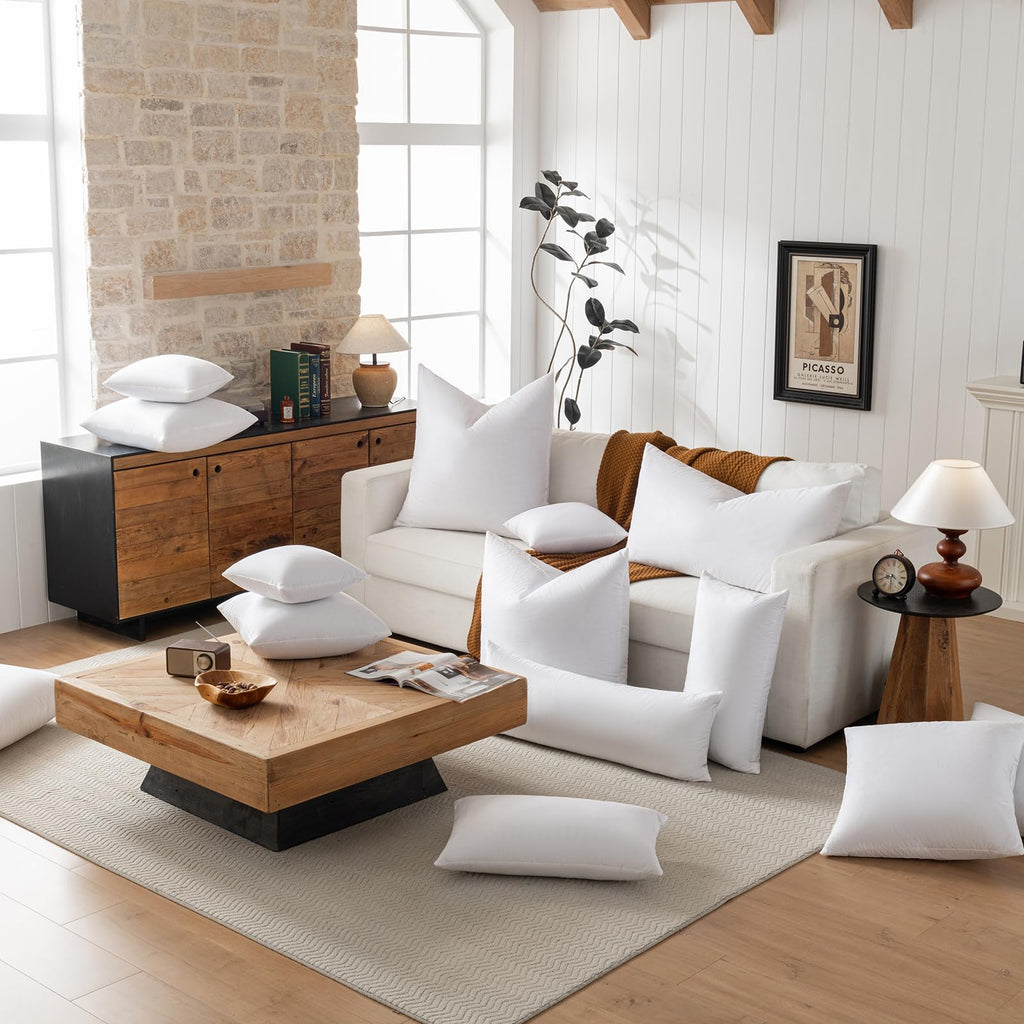 Hotel-Style 28x28 Goose Feather Down Euro Pillow Insert for Sofa & Bed - 100% Odorless & Plump Cushion Filler