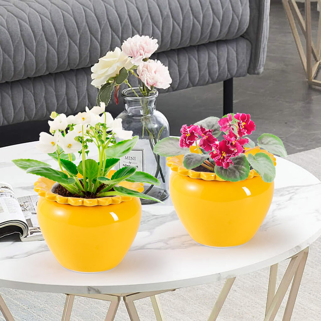 2pcs 6.5inch Design Self Watering Pot for Indoor Plants Yellow Indoor Plants Herbaceous Plants Flowers Terracotta