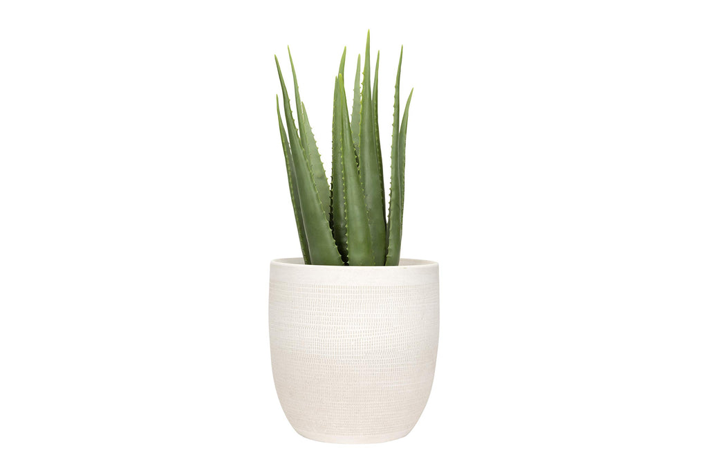 Large Matte White Embossed Stoneware Planter