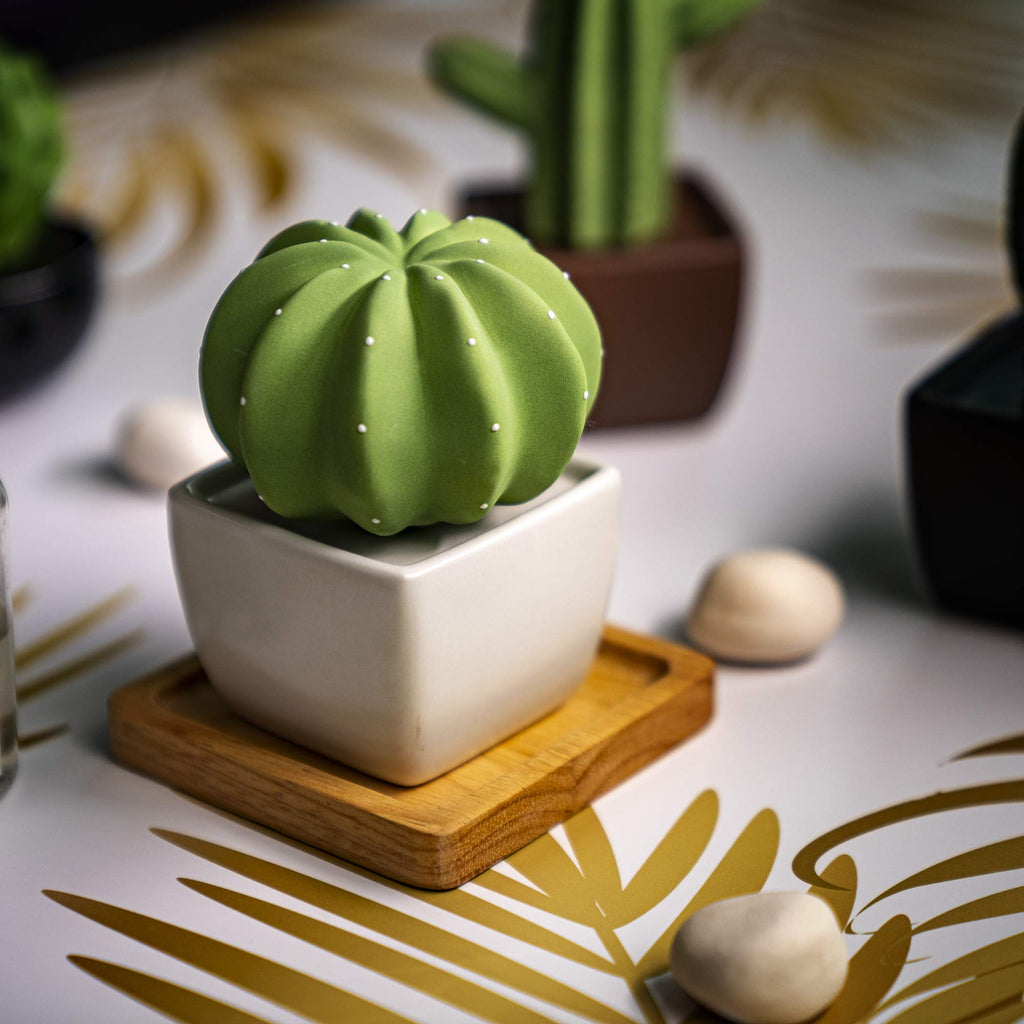 Dotti Cactus, Non-Electric Ceramic Diffusers for Essential Oils and Aromatherapy Fragrance, White Ceramic Diffusers