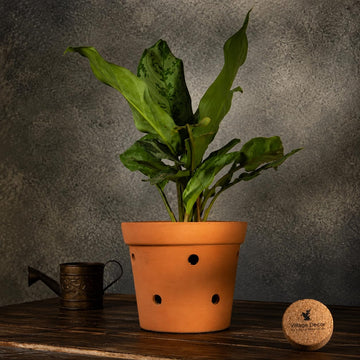 Handmade Terracotta Orchid Pot|Pack of 1|Height - 5 Inch