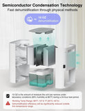 Small Dehumidifier for Home, 30oz Mini Quiet Dehumidifier for Bathroom Bedroom