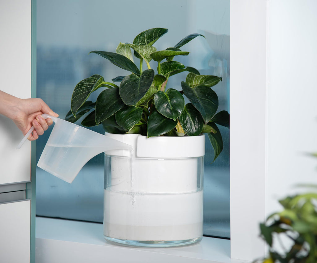 10 Inch Self Watering Planter, White Terracotta Clay Pot with Glass Reservoir for Indoor Plants, Herbs, Flowers, Set