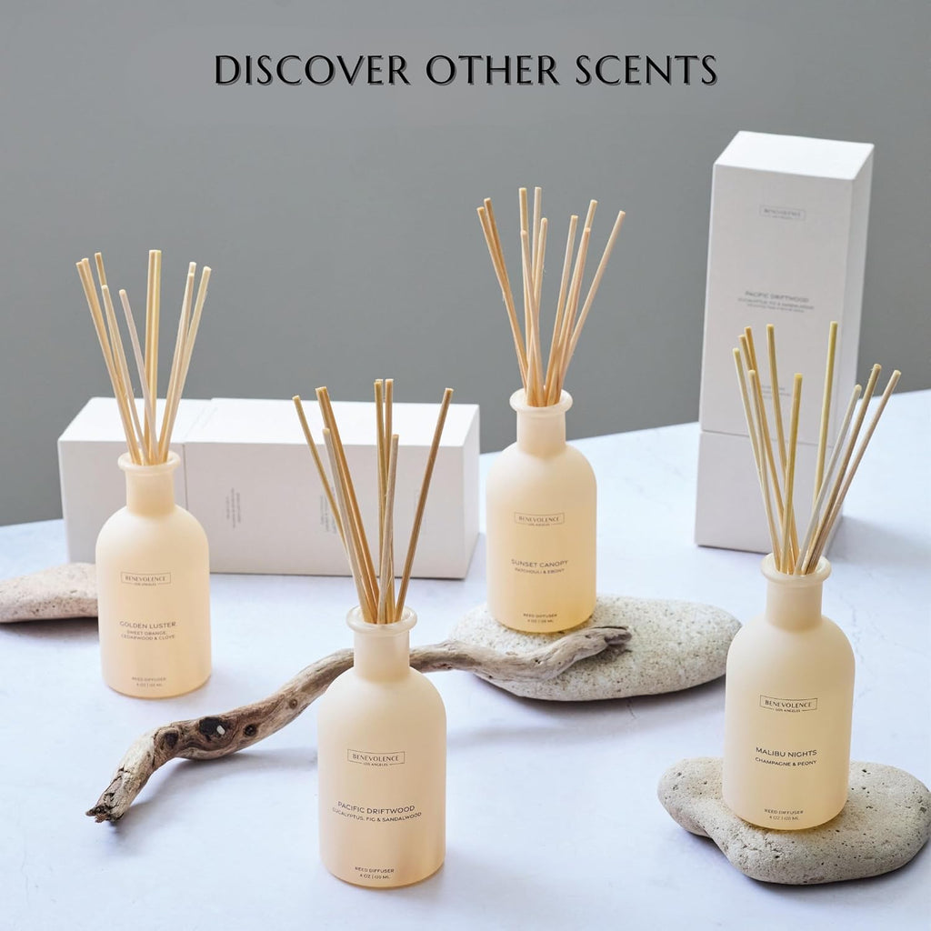 Reed Diffuser - Orange, Cedarwood & Clove | Home Fragrance Diffuser | Long-Lasting Scent Sticks - Malibu Sands