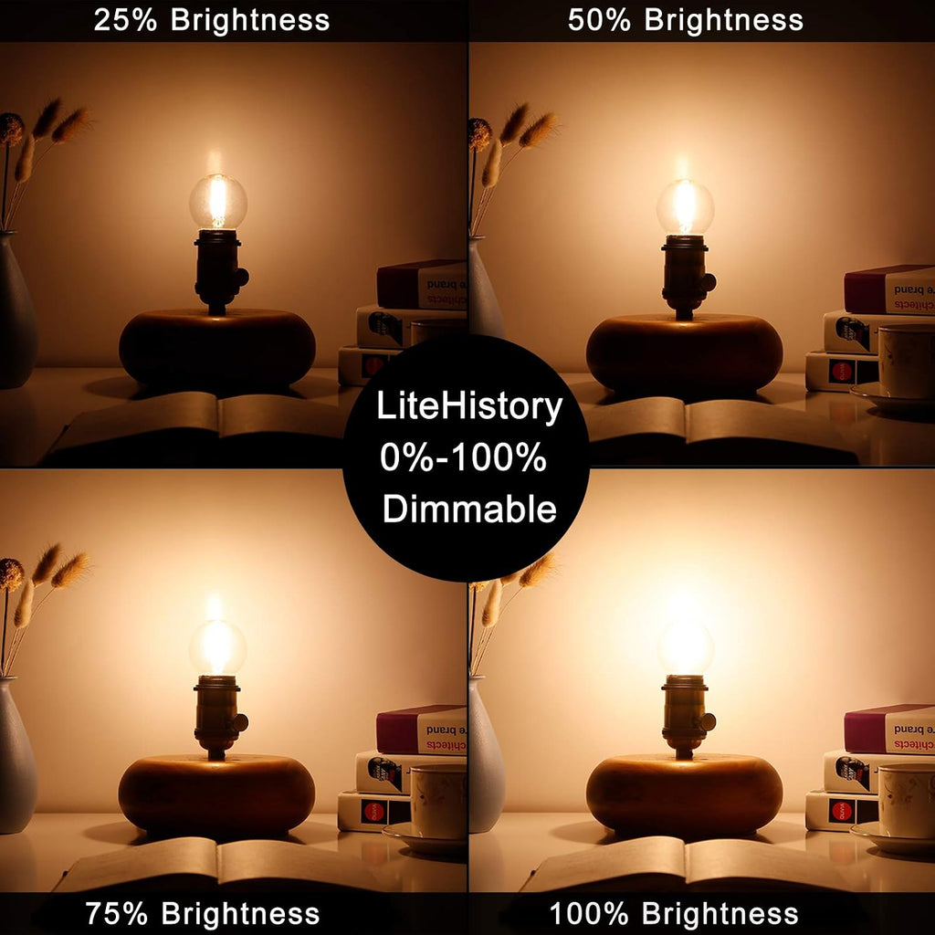 Dimmable G16.5 E26 Bulb,4w=40 watt Light Bulbs,Warm White 2700K