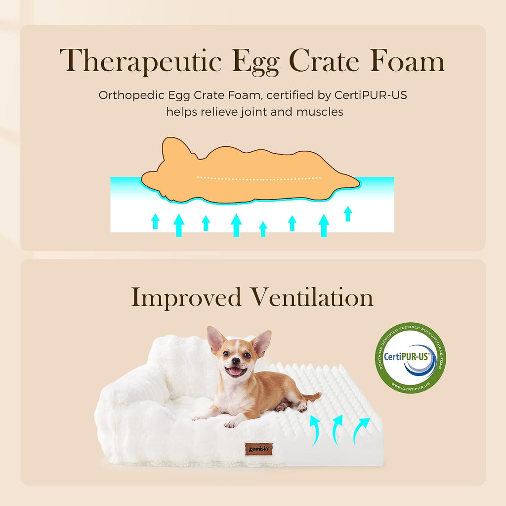 Orthopedic Cat Couch Bed for Indoor Cats, Removable Washable Cover