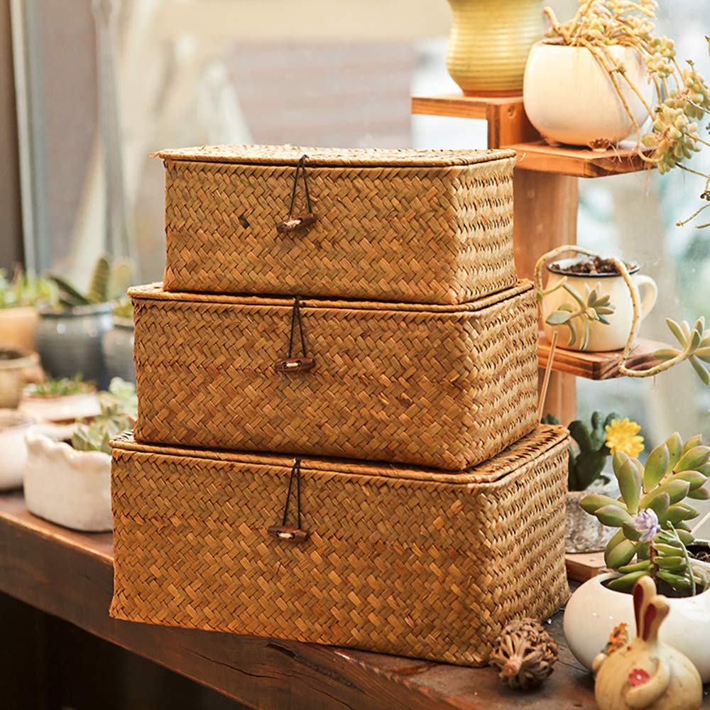 Boho Nesting Shelf Baskets with Lid, Set of 3 Household Organizer Bins, Compact Handwoven Seagrass Wicker Basket for