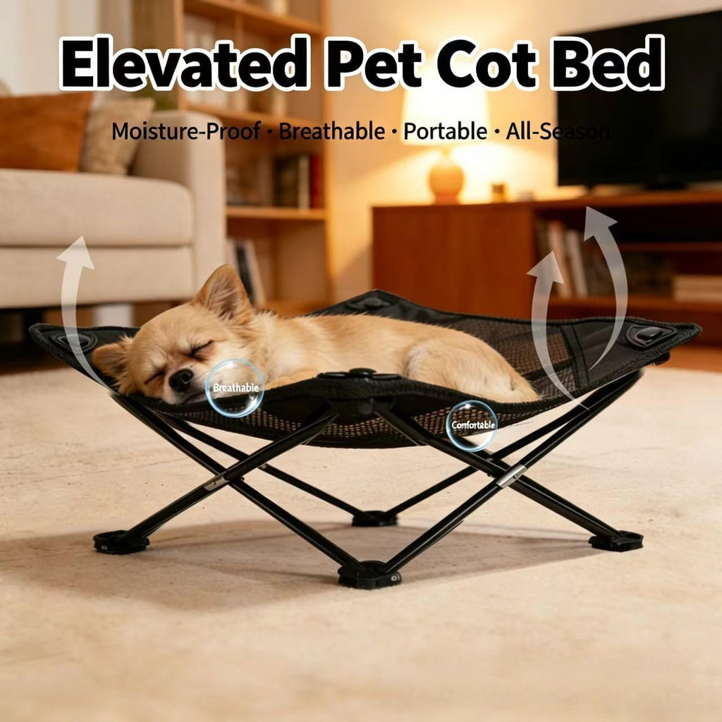 Foldable Cooling Elevated Cat Bed for Small Dogs Puppies & Kitties, 19x19 Inch, Breathable Mesh Raised Pet Cot