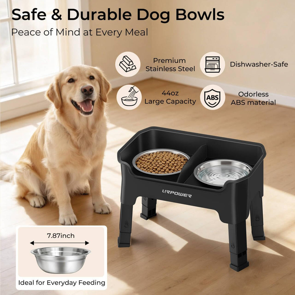 Mess Proof Elevated Dog Bowls, Splash Guard Raised Bowl Stand