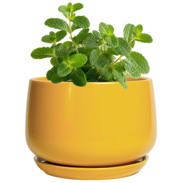 4 Inch Ceramic Planter - Succulent Pots for Plants Indoor Outdoor, Small Plant Pots with Drainage Hole & Saucer