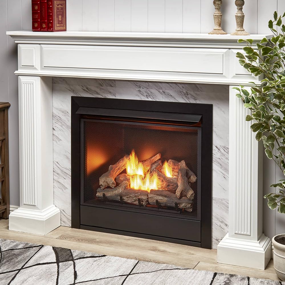 Dual Fuel Ventless Gas Fireplace Insert - 32, 000 BTU, Remote Control - Model# FDI32R