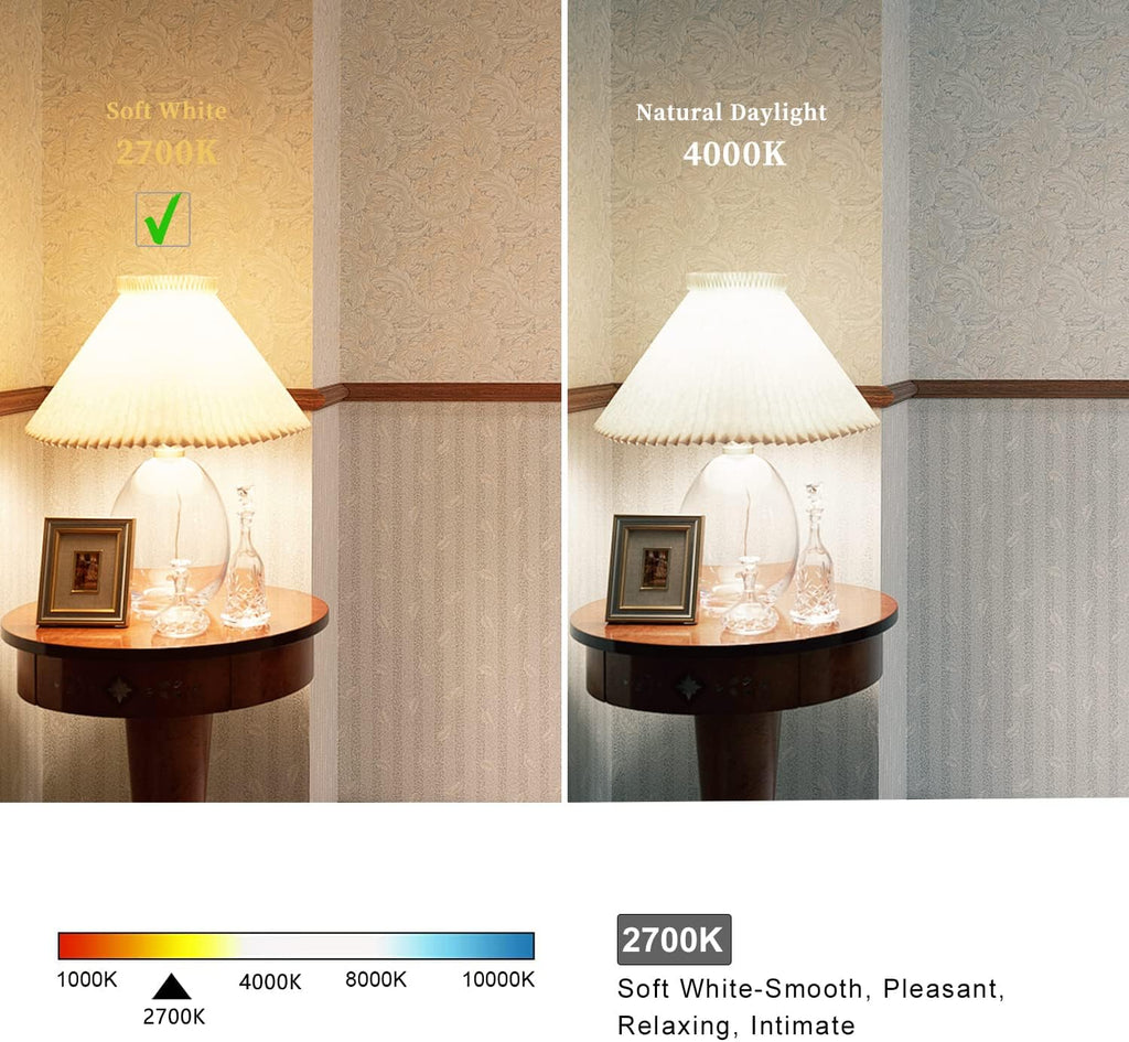 2 Pack G30 Globe LED Light Bulb, Warm White 2700K Dimmable