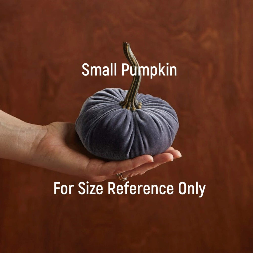 Striped Fleece Small Velvet Pumpkin (Striped Fleece)