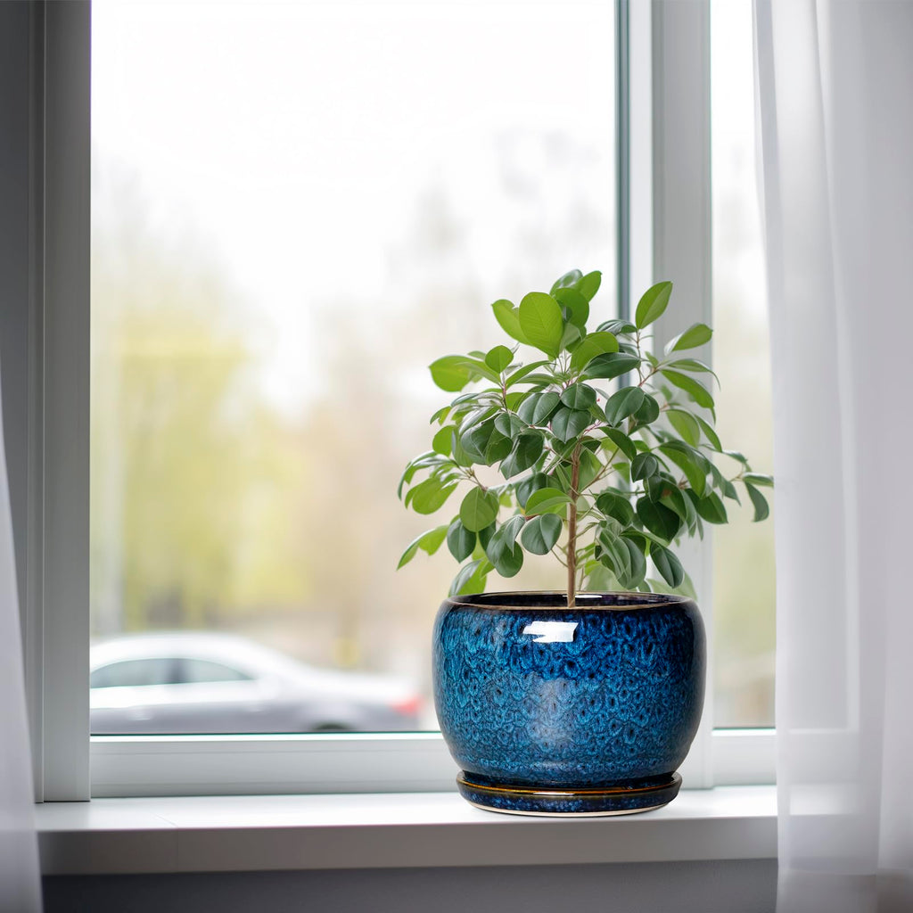 Ceramic Planter 8 Inch - Pot for Indoor Outdoor Plants Round Ceramic Plant Pot with Drainage Hole and Saucer Modern