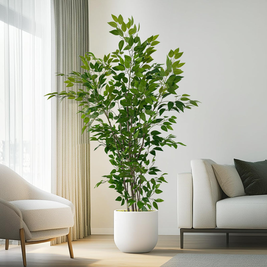 6ft Artificial Ficus Tree with White Plastic Planter