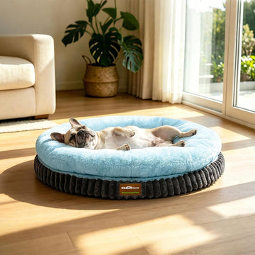 Home Orthopedic Dog Bed for Medium Dogs, Ice Blue