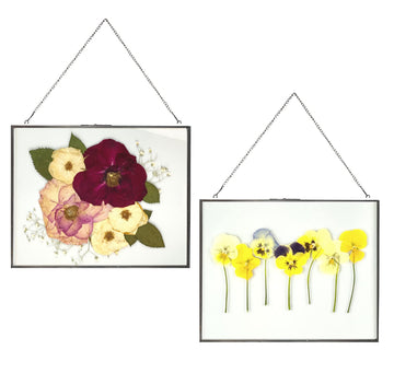 Double Glass Frame for Pressed Flowers, Leaf and Artwork Set of 2 Hanging Picture Frames, Tempered Glass Floating
