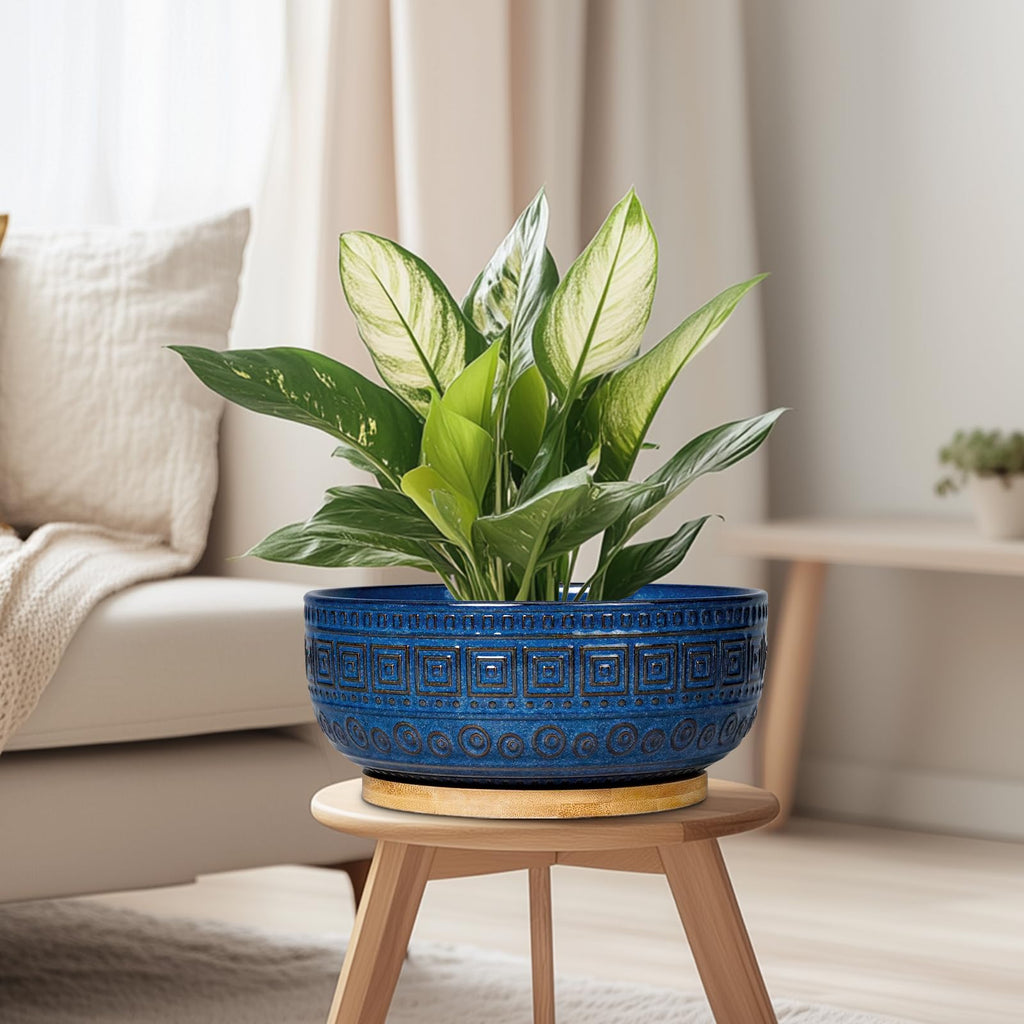 Bonsai Pots 8 Inch - Ceramic Succulent Pots, Round Planter for Indoor Plants, Modern Outdoor Planter with Drainage