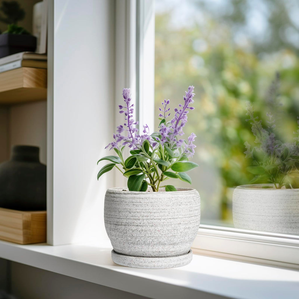 Ceramic Planters for Indoor Plants - 6 Inch Plant Pot with Drainage Hole and Saucer, Small Ceramic Flower Pot, Round