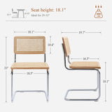 Rattan Cantilever Dining Chairs Set of 2, Boho Modern Dining Chairs with Rattan Back and Curved Steel Base for Kitchen or Living Room, Natural