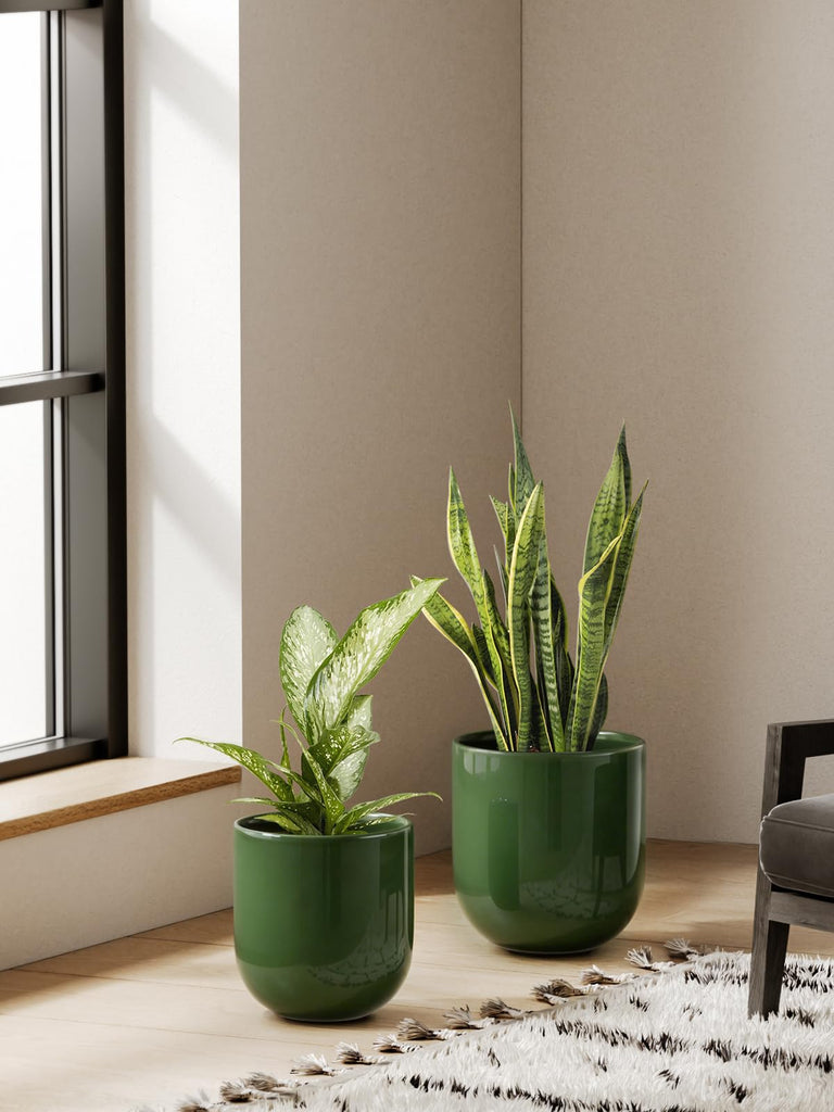 6, 8 & 10 Inch Ceramic Planter Set for Indoor Plants, Bamboo Green