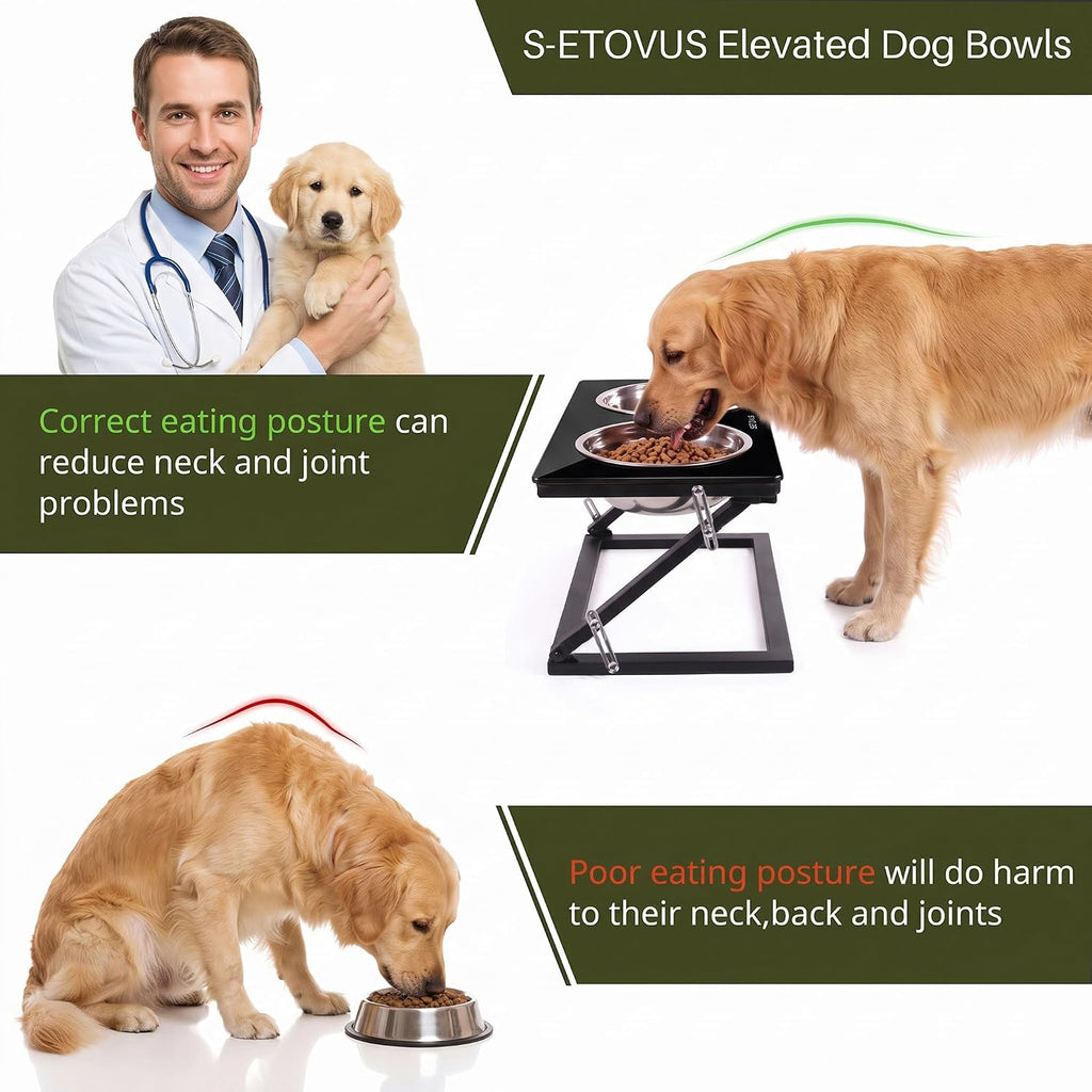 Elevated Dog Bowl, Adjustable Height and Tilt Angle Dog Bowl Stand